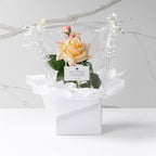 Rosa (Faux Flowers)