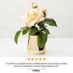 Rosa (Faux Flowers)