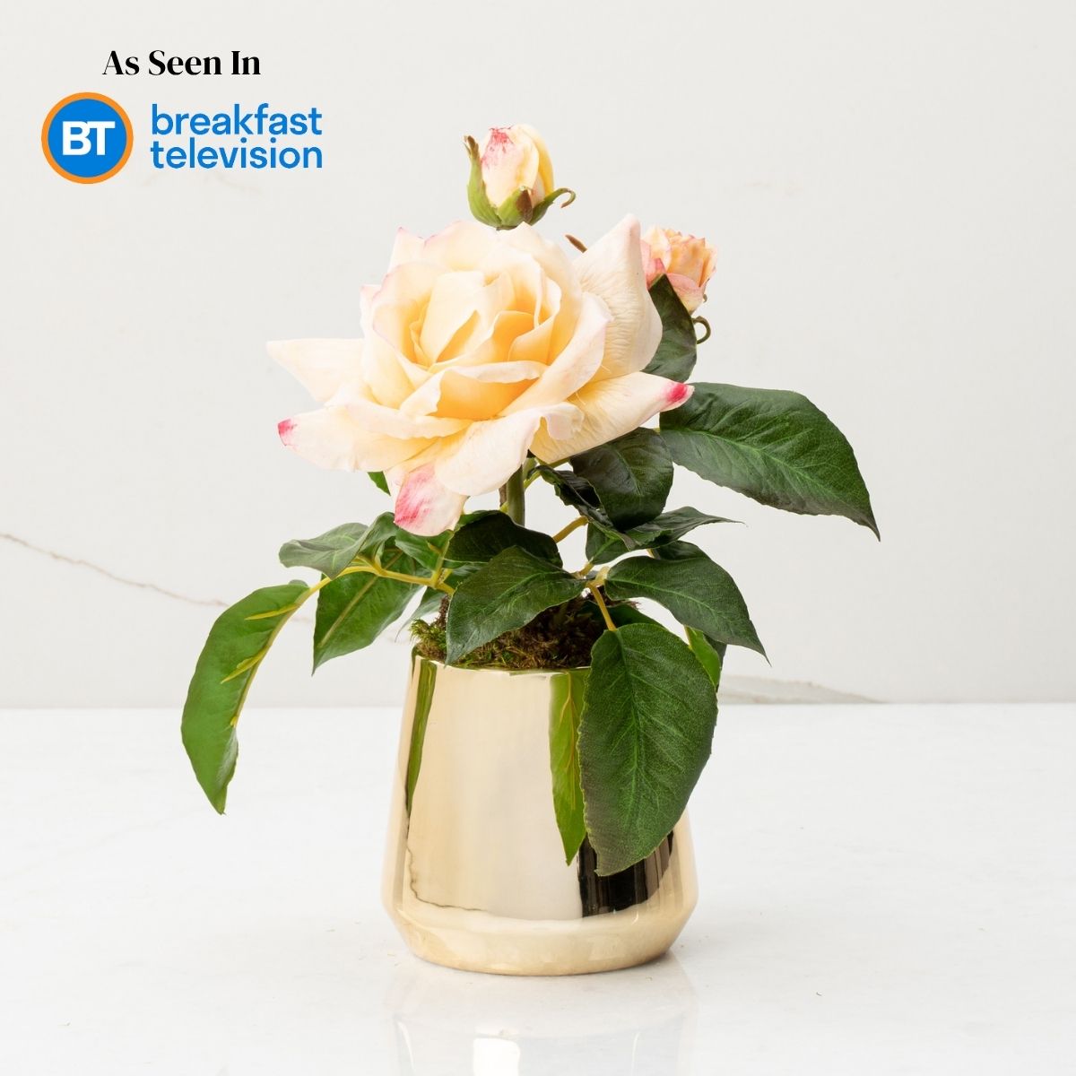 Rosa (Faux Flowers)