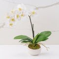 Grace (Faux Flowers)