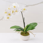 Grace (Faux Flowers)