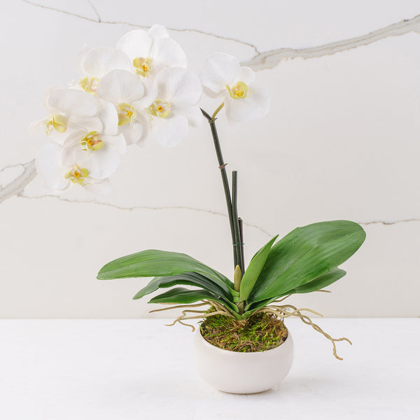 Grace (Faux Flowers)