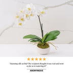 Grace (Faux Flowers)
