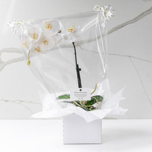Grace (Faux Flowers)