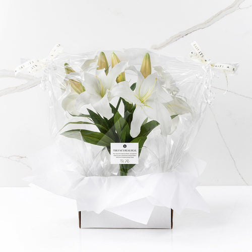 Jacinda (Faux Flowers)