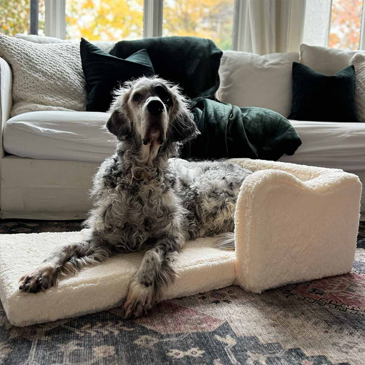 Dog Sweater