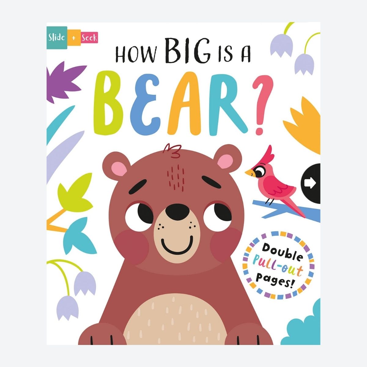 How Big is a Bear? Book - Default Image