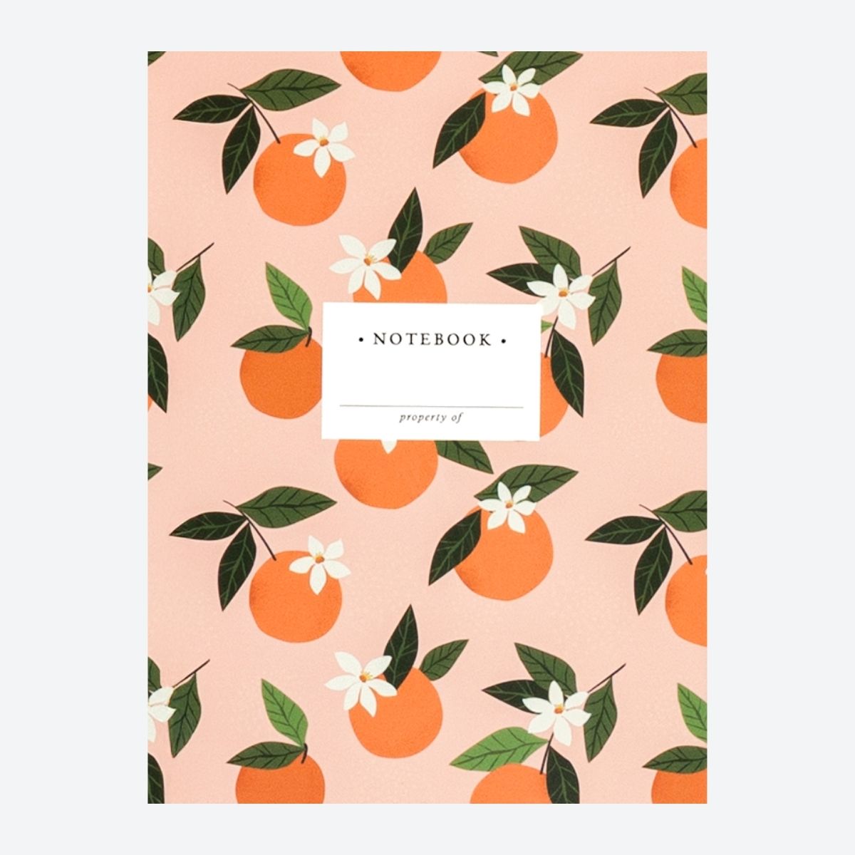 Orange Notebook - Default Image
