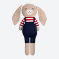 Basil the Bunny - Default Image