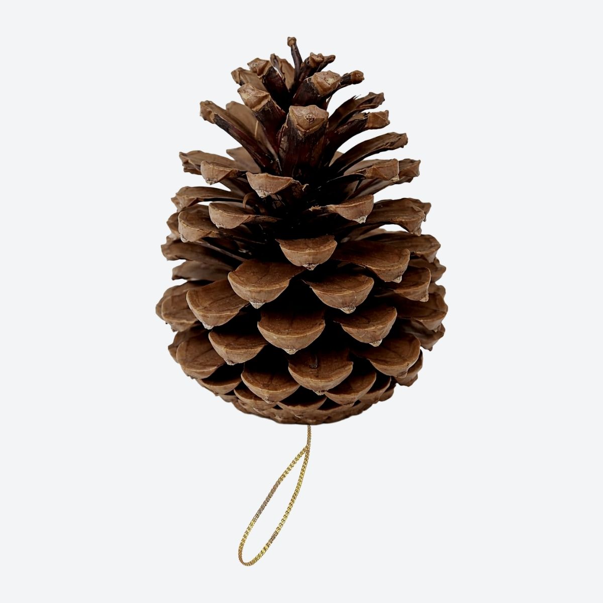 Pine Cone Ornament - Default Image